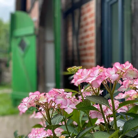 Reet-cottage Nahe Der Ostsee *