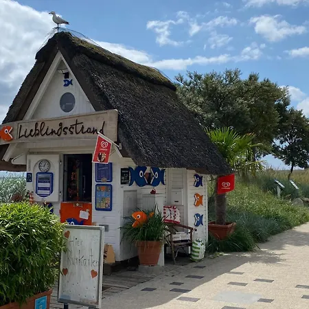 펜션 Reet-cottage Nahe Der Ostsee Susel