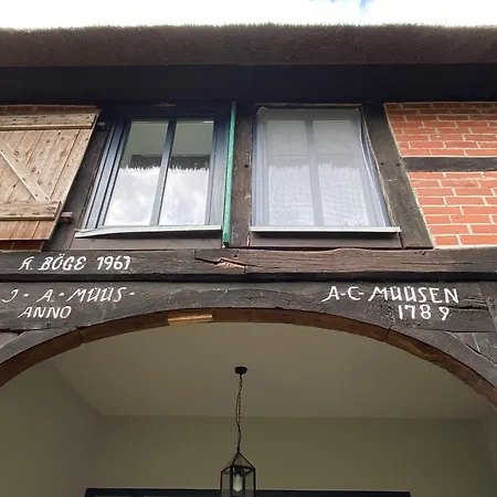 בית נופש Reet-cottage Nahe Der Ostsee Susel