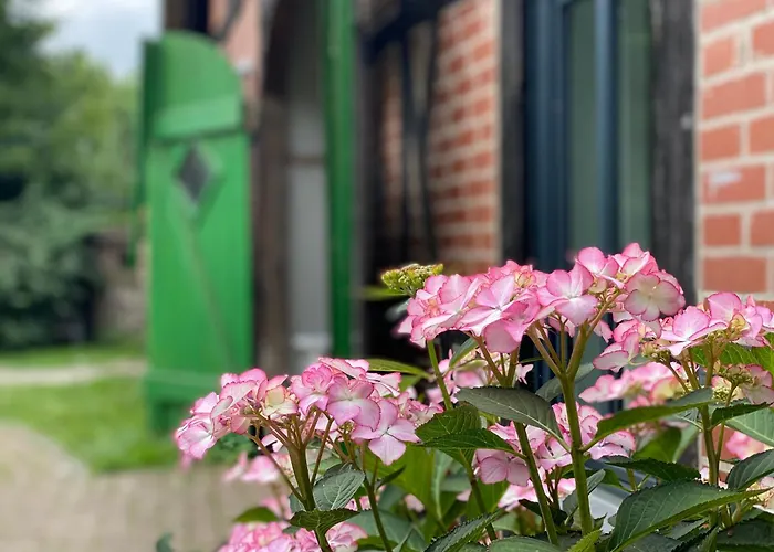 Reet-cottage Nahe Der Ostsee *